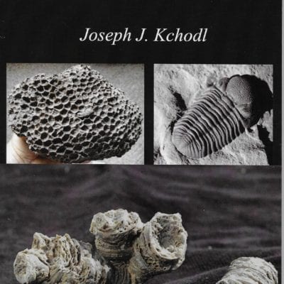 Guide to Michigan Fossils